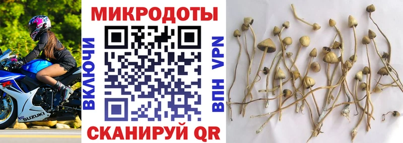 Купить Ишим Галлюциногенные грибы Magic Shrooms
